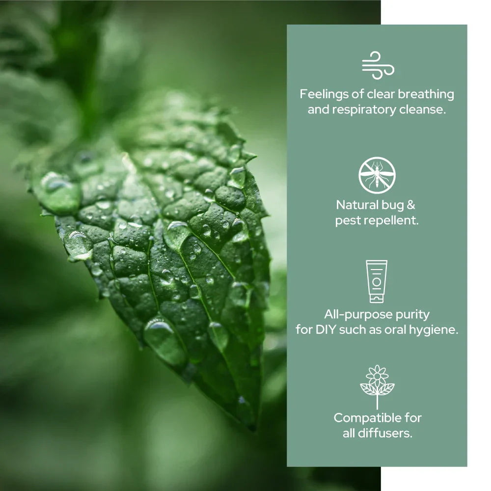 Plant of Life - 4oz Essential Oil