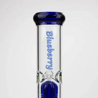Blueberry 15