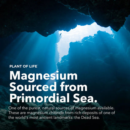 Plant of Life - 8oz Pure Elemental Magnesium Oil