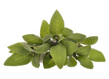 Goloka - Sage Natural & Undiluted Essential Oil 10ml
