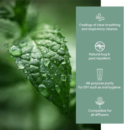 Plant of Life - 1oz Organic Essential Oil