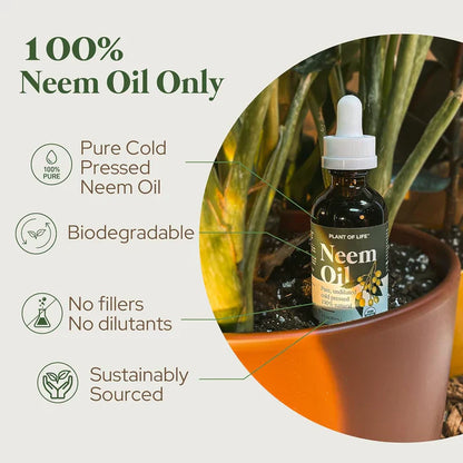 Plant of Life - 2oz Organic Oil