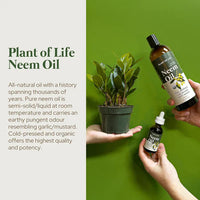 Plant of Life - 2oz Organic Oil