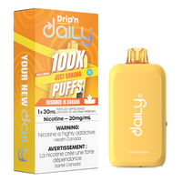 Envi Drip'n Daily Disposable Vape 30mL **Launch Special**