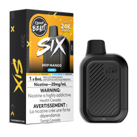 Flavour Beast SIX Disposable Vape 6mL