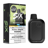 Flavour Beast SIX Disposable Vape 6mL